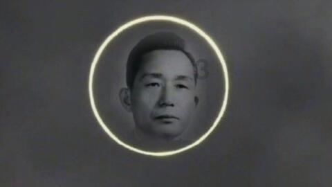 小猫钓鱼游戏龙王版有船